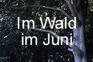 Juni-Im Wald