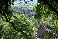 Maiweg-20-Oberberg-Waldrand Deckbergen