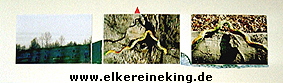 www.elkereineking.de