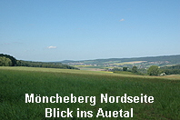 Blick ins Auetal-1