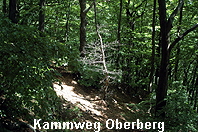 Kammweg-Oberberg-5