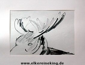 www.elkereineking.de