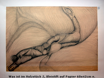 Was ist im Holzstck 2, Bleistift auf Papier 60x42cm e.